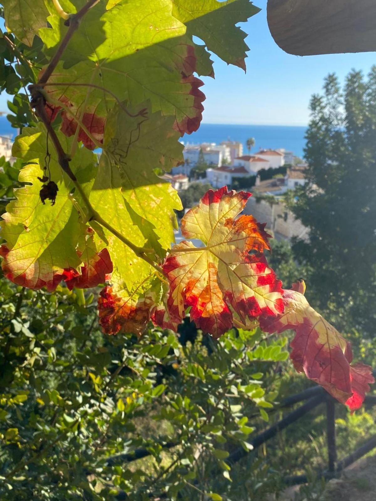 Boutique Hotel Las Islas (Adults Only) Fuengirola Dış mekan fotoğraf